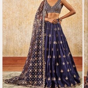 Navy Blue Embroidered Lehenga